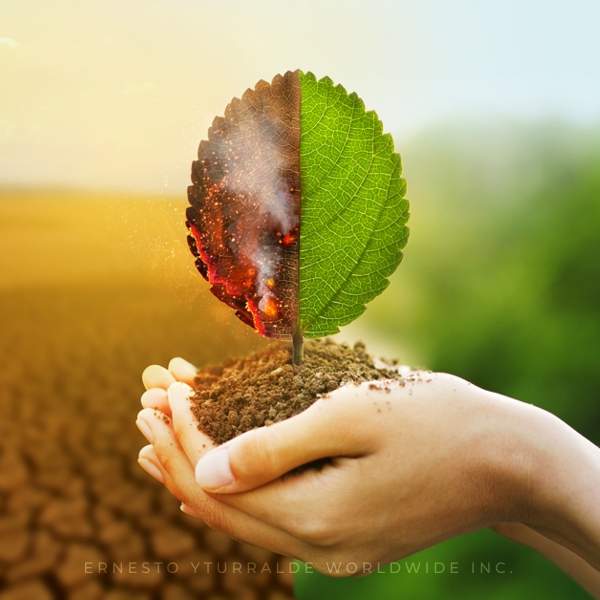 Talleres de Sensibilización al Cambio |  Ernesto Yturralde Worldwide Inc